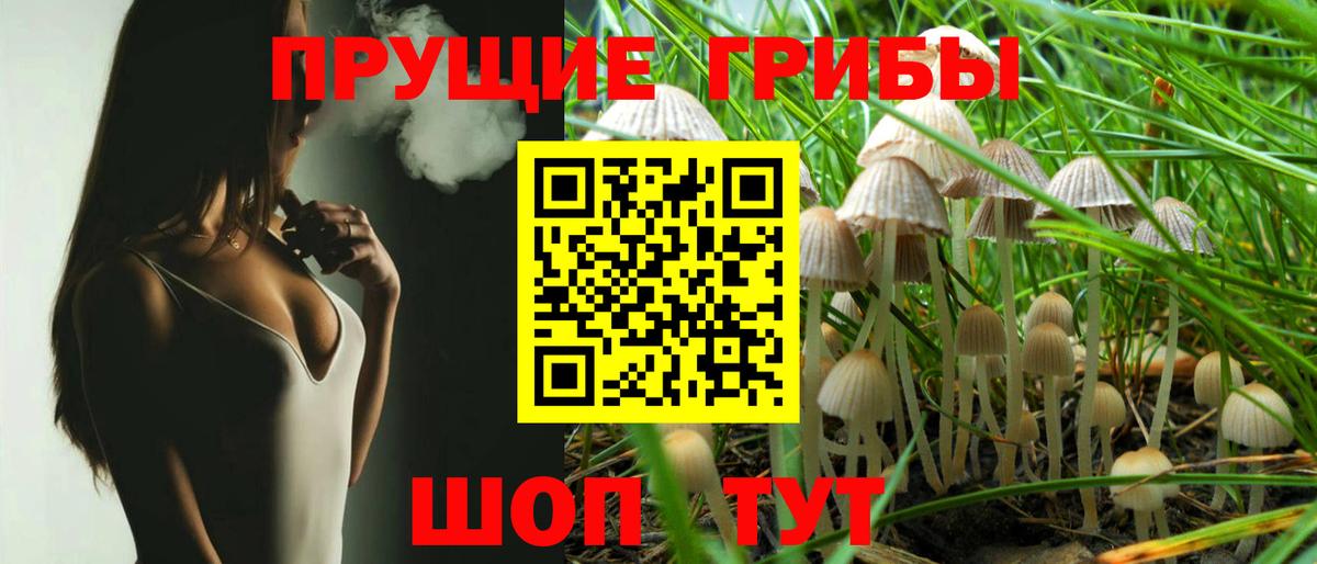 Псилоцибиновые грибы Magic Shrooms  Вход с VPN  Белогорск 